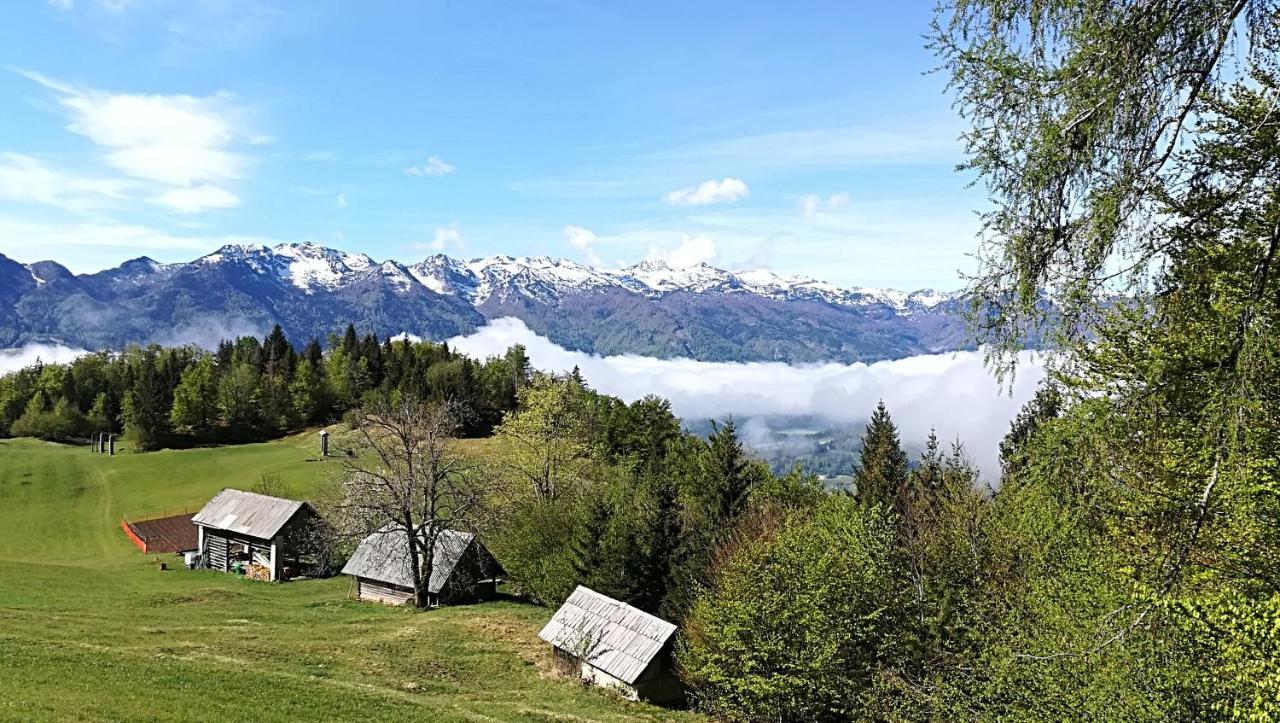 Apartments Pod Rodico Bohinjska Bistrica Zewnętrze zdjęcie