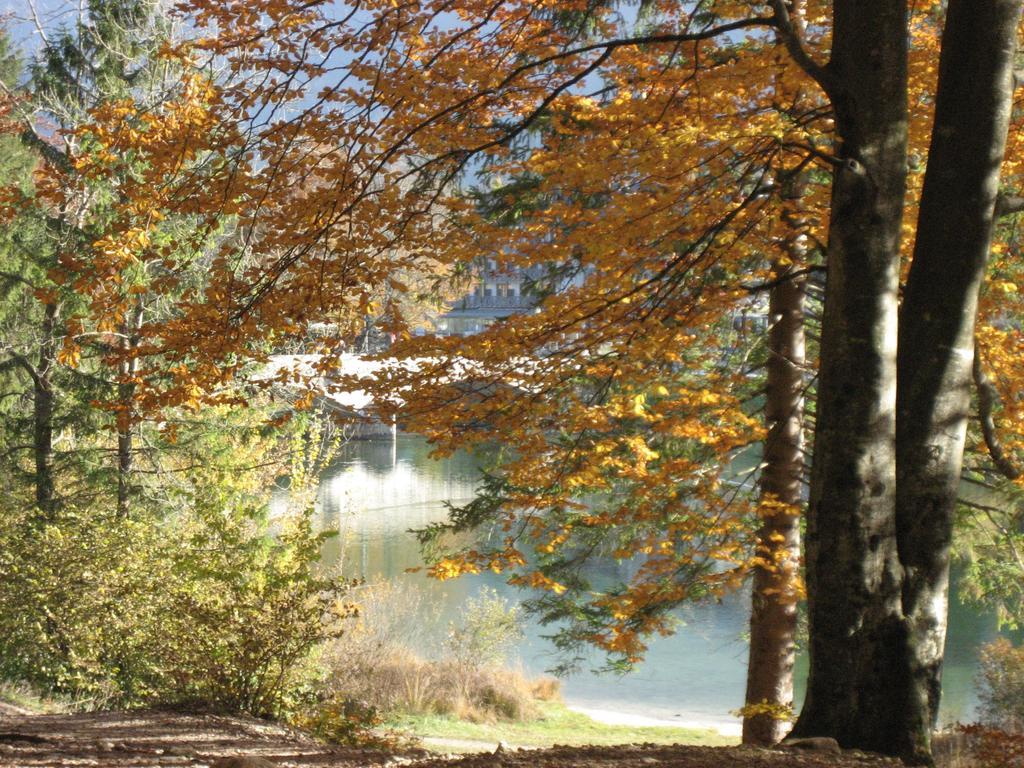 Apartments Pod Rodico Bohinjska Bistrica Pokój zdjęcie