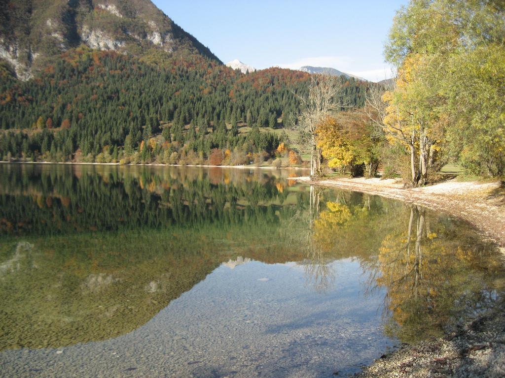 Apartments Pod Rodico Bohinjska Bistrica Zewnętrze zdjęcie