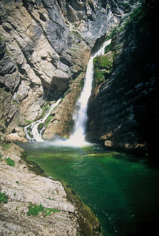 Apartments Pod Rodico Bohinjska Bistrica Zewnętrze zdjęcie