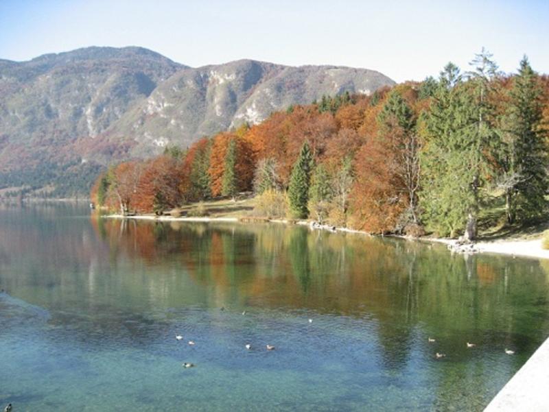 Apartments Pod Rodico Bohinjska Bistrica Zewnętrze zdjęcie