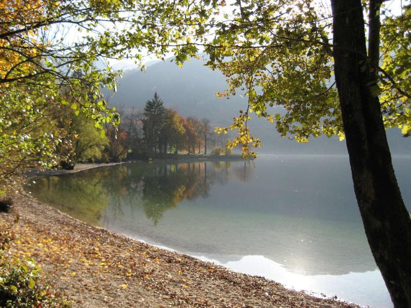 Apartments Pod Rodico Bohinjska Bistrica Zewnętrze zdjęcie
