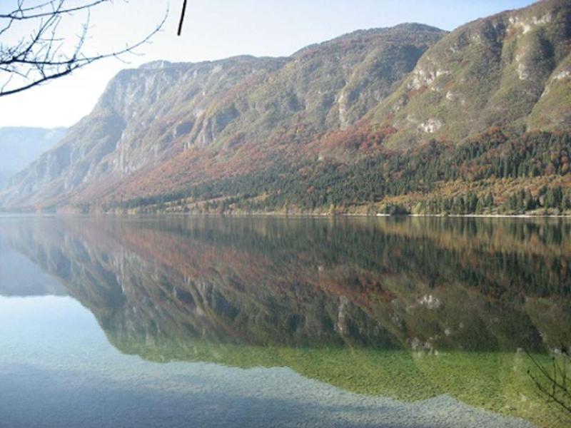Apartments Pod Rodico Bohinjska Bistrica Zewnętrze zdjęcie